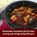 Elite Gourmet Glas Slow Cooker Review