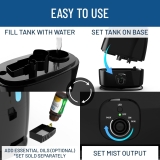 Everlasting Comfort Air Humidifier Review