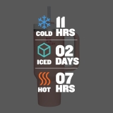 Stanley Quencher H2.0 FlowState Tumbler Review